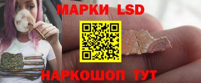 твердый Новодвинск