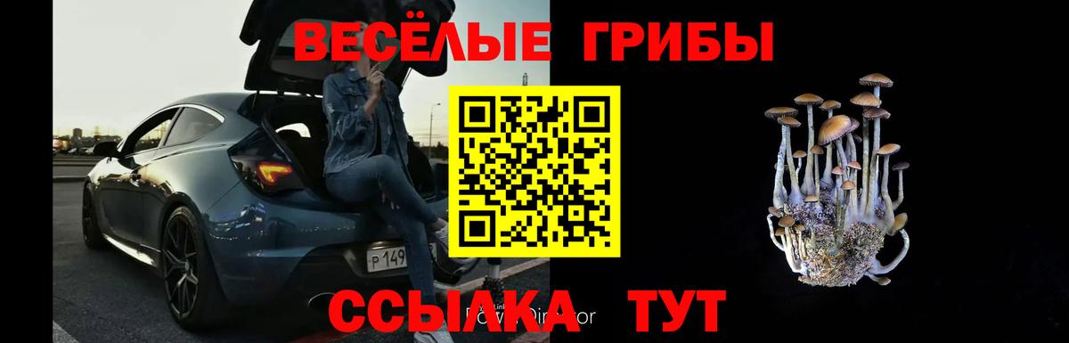 купить  цена  Вход с VPN  Ханты-Мансийск  Псилоцибиновые грибы прущие грибы  Галлюциногенные грибы Psilocybe 